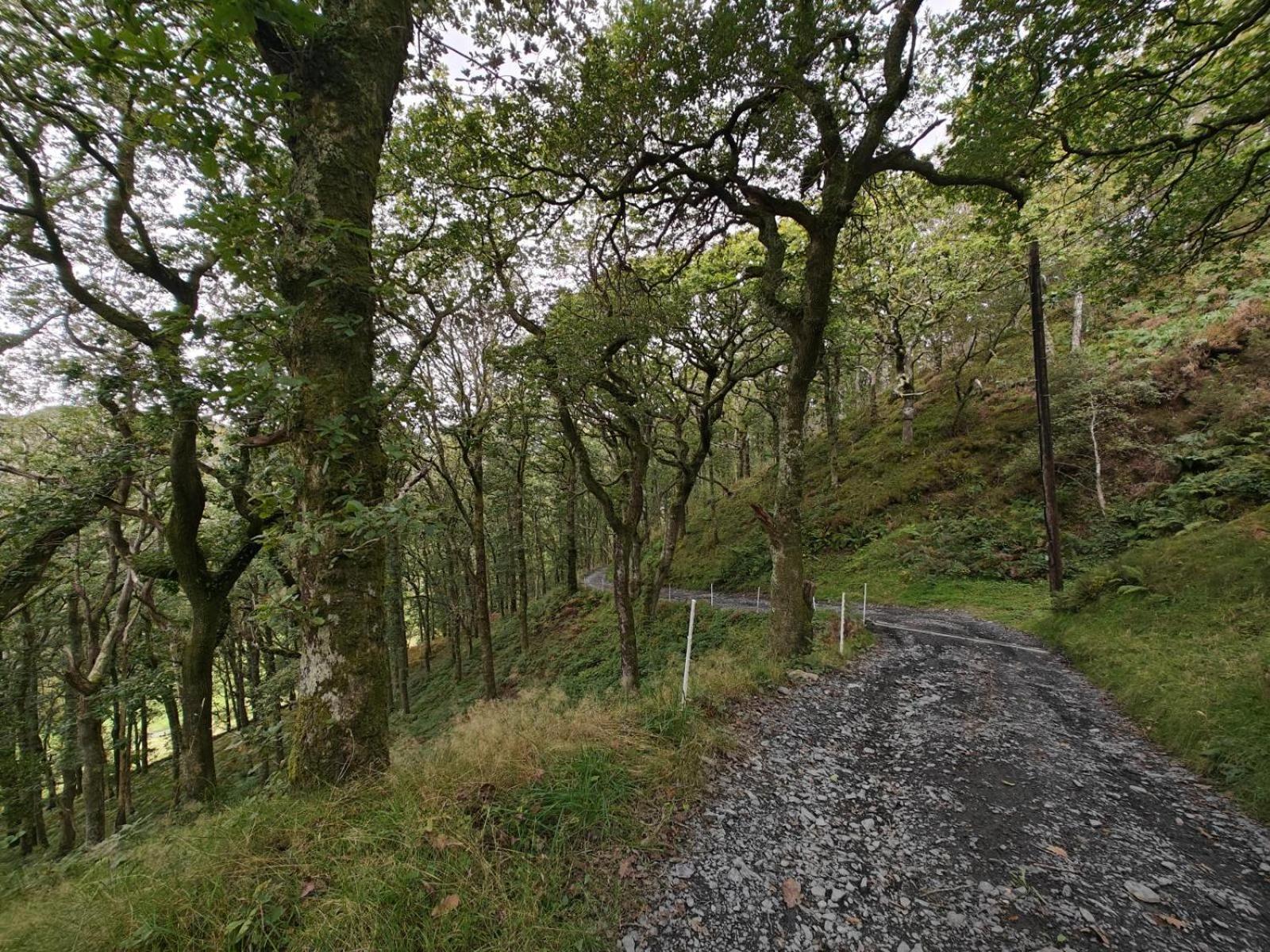 Y Cwtch - Panoramic Mountain Views Within Snowdonia'S National Park - 4X4 Recommended Dolgellau Exterior foto